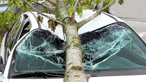 Wat met je autoverzekering bij stormschade?